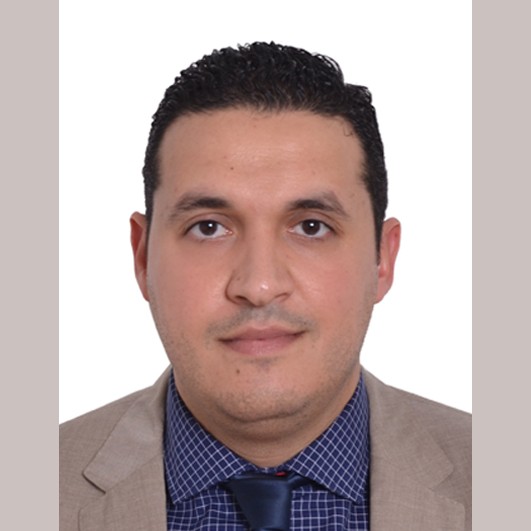 Sherif Nabil Araffa Ahmed Hegazi